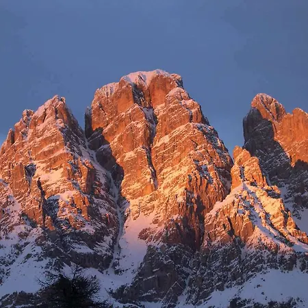 Hotel Alaska Cortina 4*